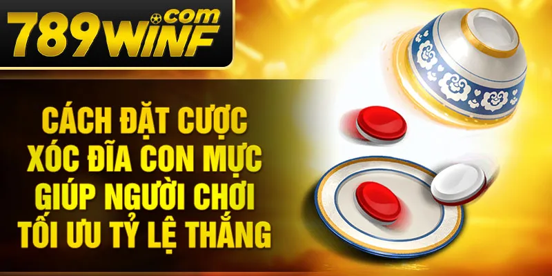 Cách đặt cược xóc đĩa con mực giúp người chơi tối ưu tỷ lệ thắng